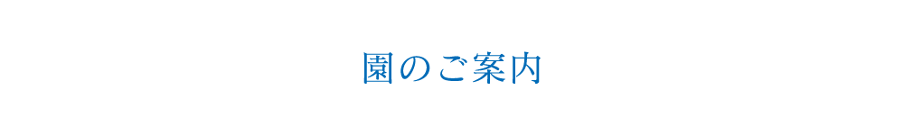 園のご案内